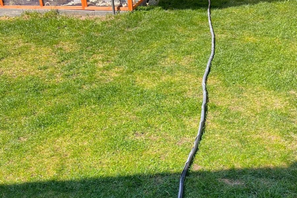 A cable running across the lawn from the shed - one of the four garden lanes.